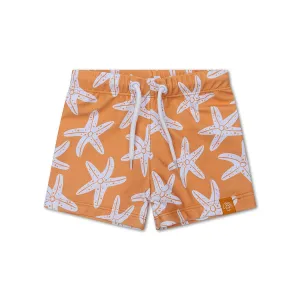 Seastar | Brown UV Swim Boxer Boys