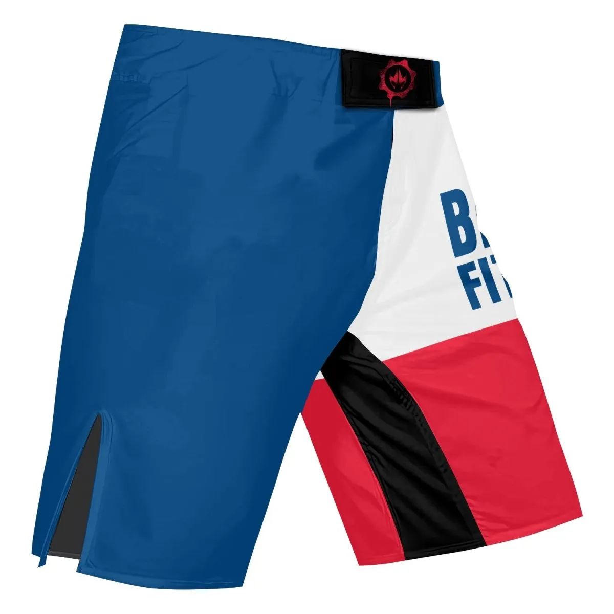 USA Flag Fight Shorts
