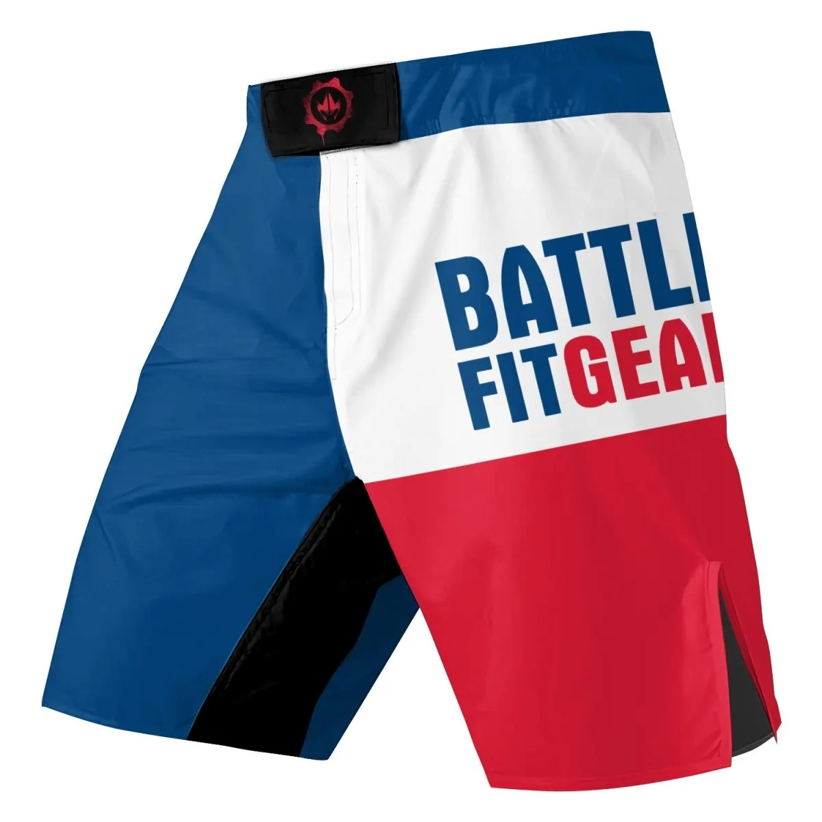 USA Flag Fight Shorts