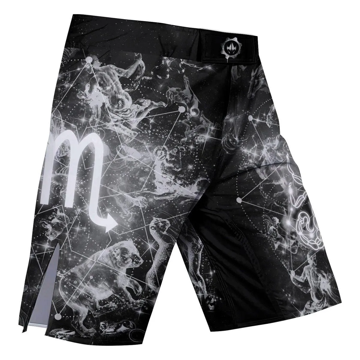 Zodiac Scorpio Fight Shorts